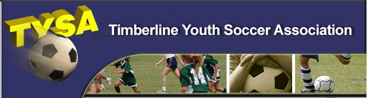 South Texas Youth Soccer Association banner
